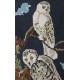 EKMEN Ανδρικές Κάλτσες Σχέδιο Owls 1001-13 Μαύρο